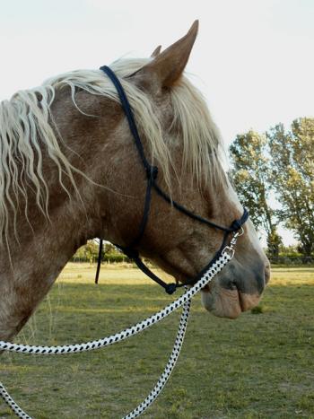 sidepull corde bleu marine