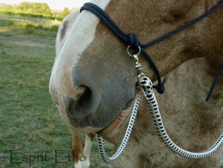 sidepull en corde